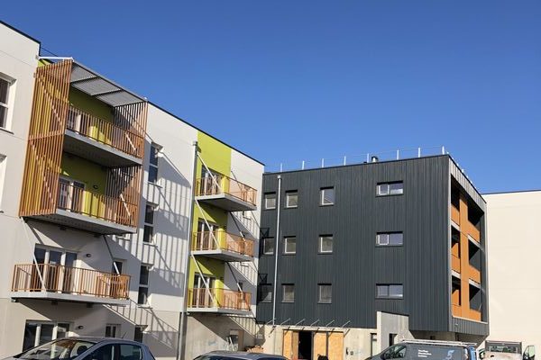 Logements collectifs et maisons individuelles groupées en ossature bois